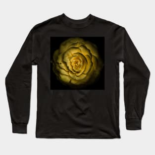 Backyard Flowers No 85 Color Version Long Sleeve T-Shirt